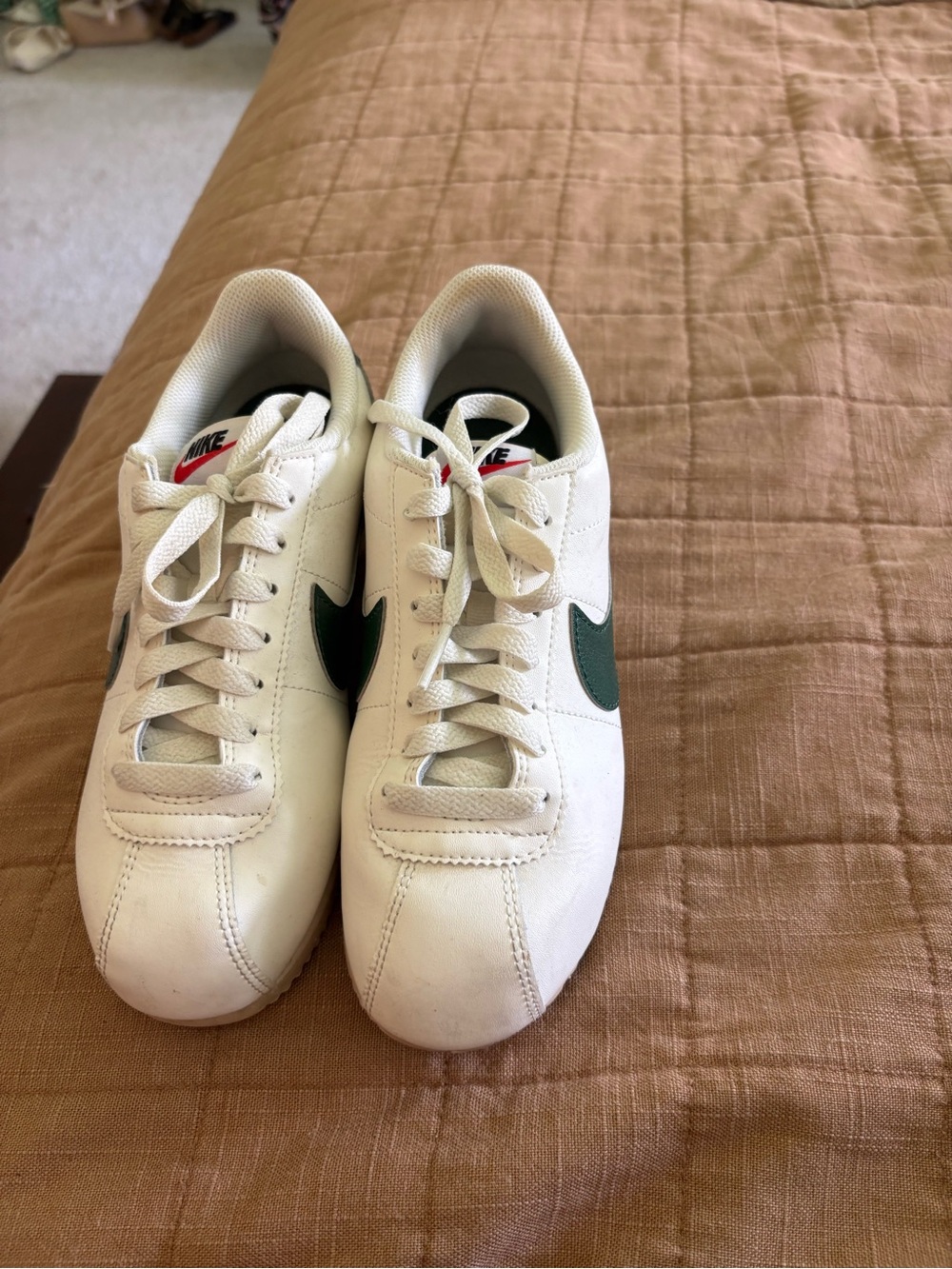 Nike Men’s White Sneakers with Dark Green Swoosh